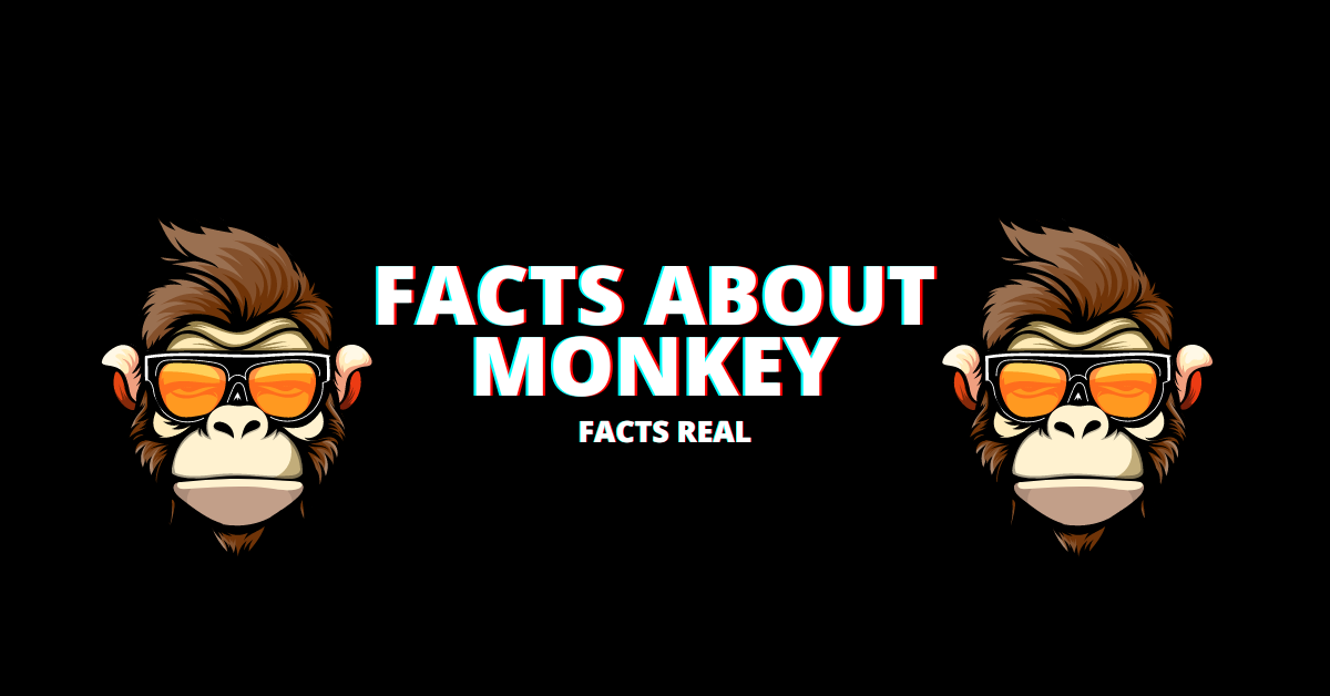 15+ World Best Facts about Monkey - Facts Real