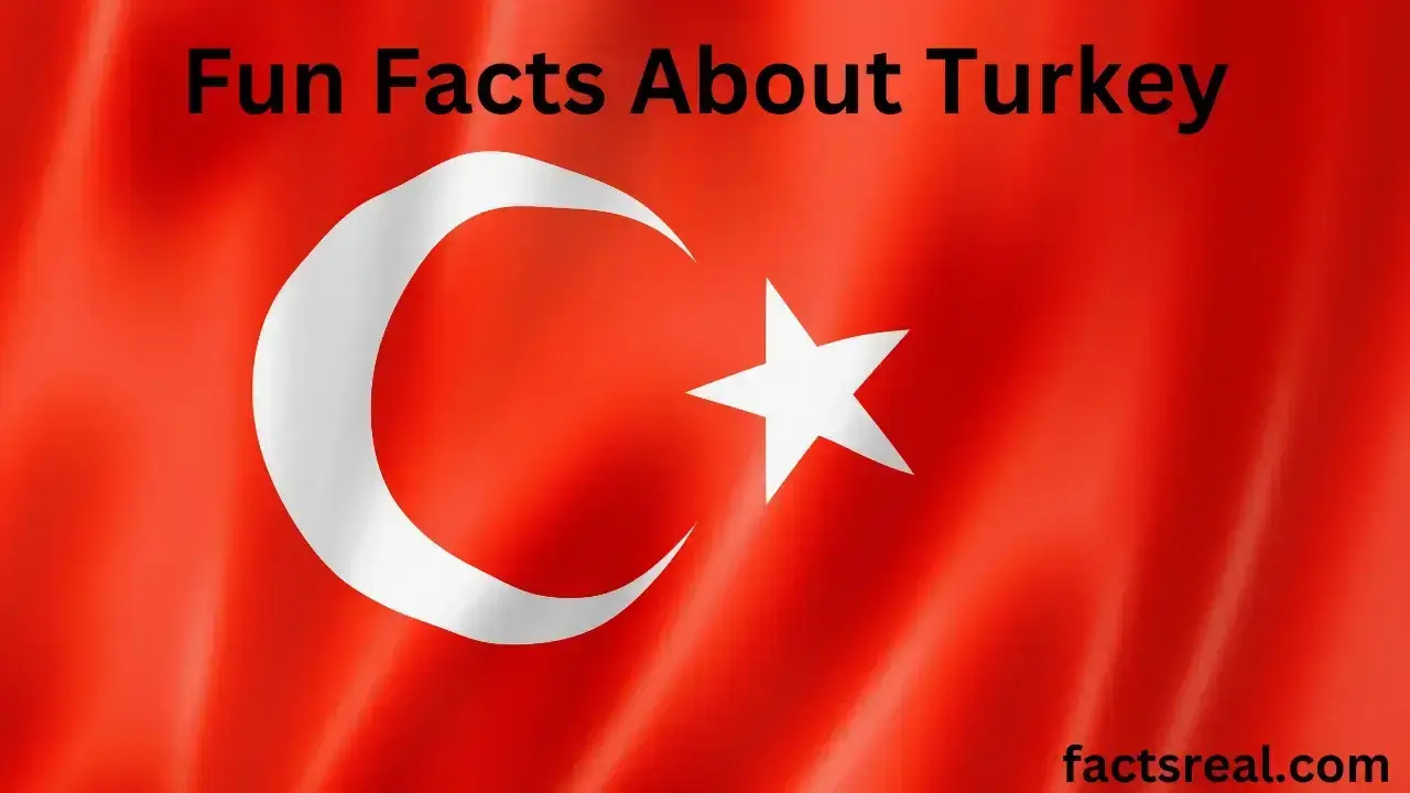 Fun Facts About Turkey