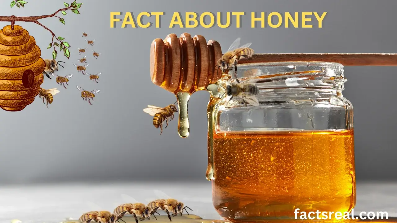 Facts About Honey