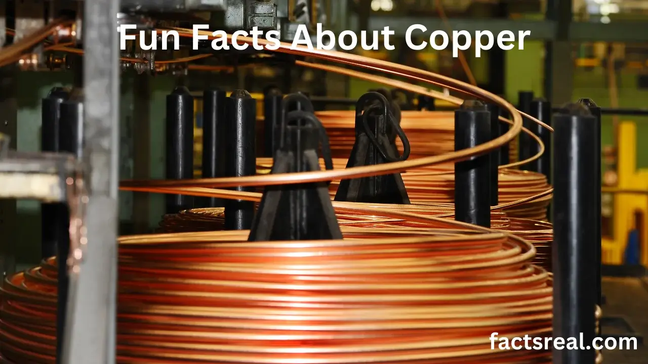 Fun Facts About Copper