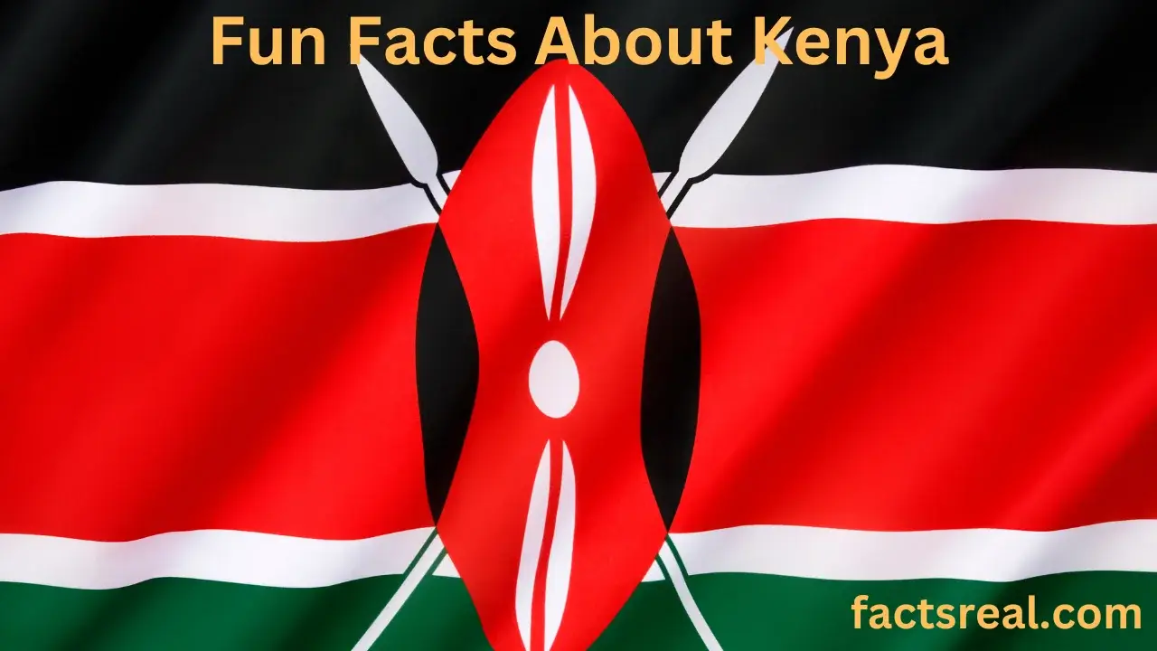 Fun Facts About Kenya