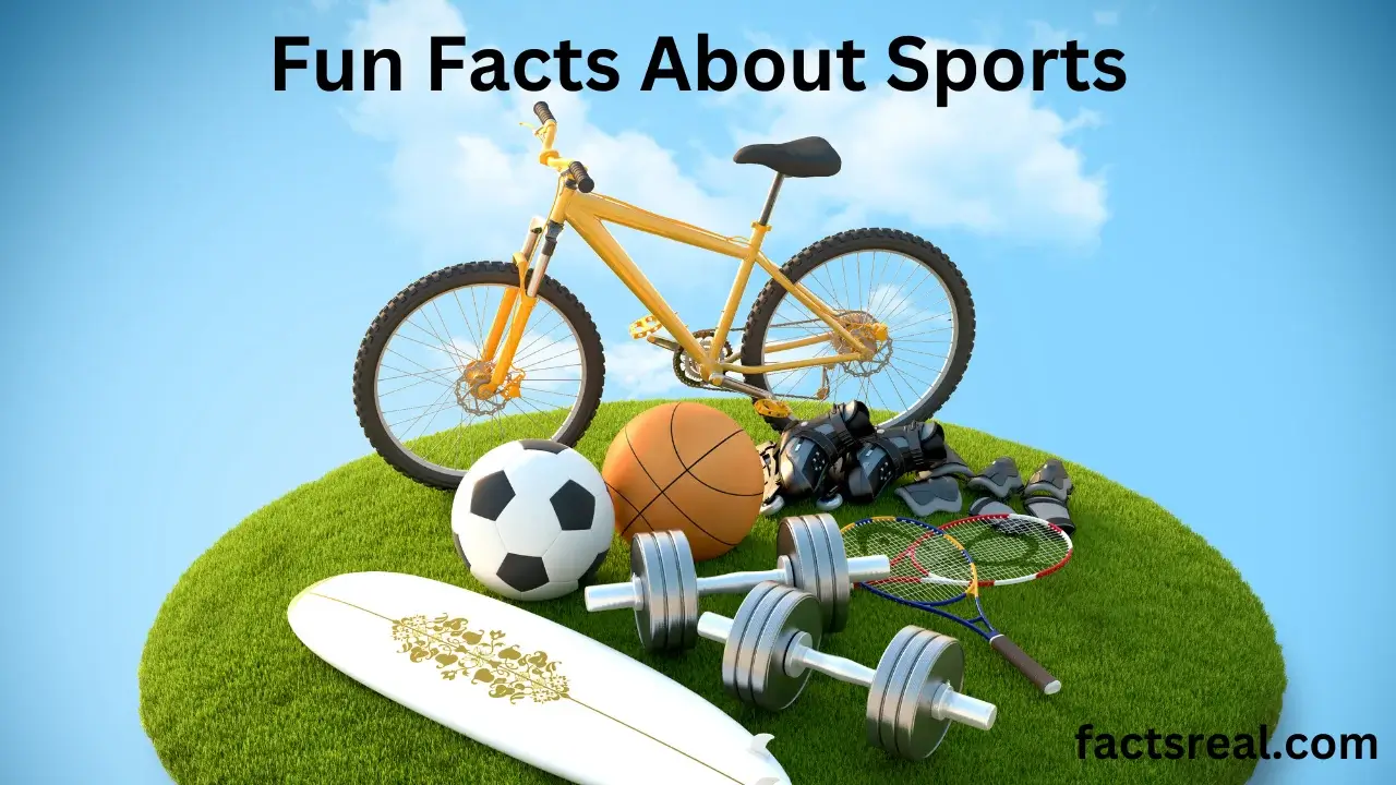 Fun Facts About Sports