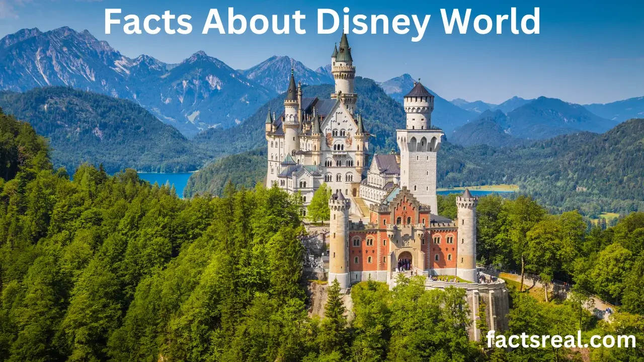 Facts About Disney World