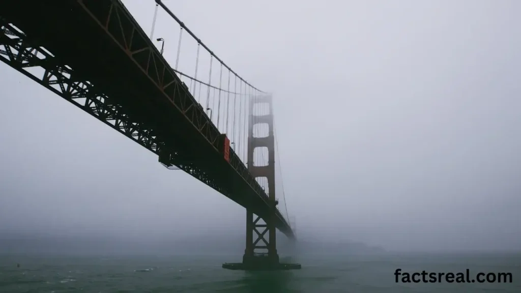 Environmental Impact and Protection On Golden Gate Bridge