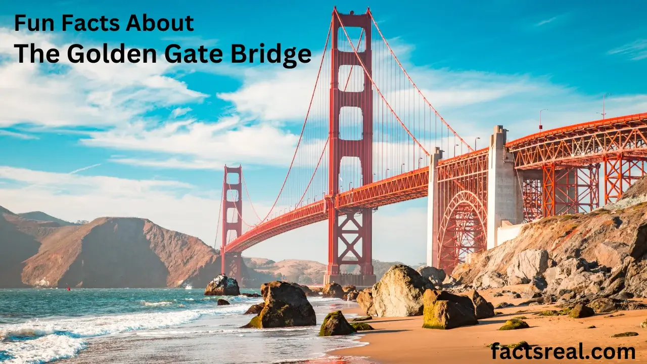 Fun Facts About The Golden Gate Bridge