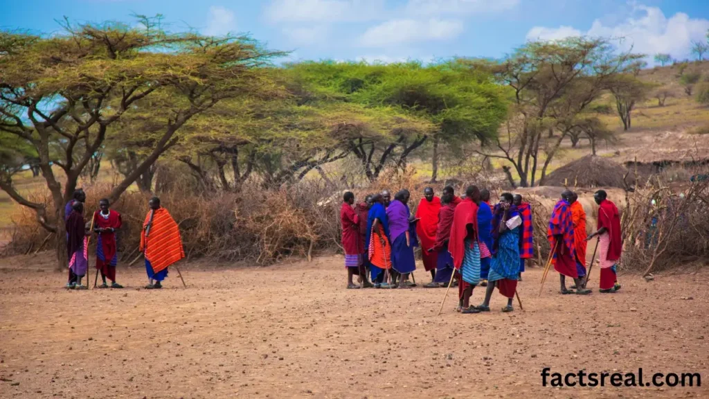 People and Cultures in the Savanna