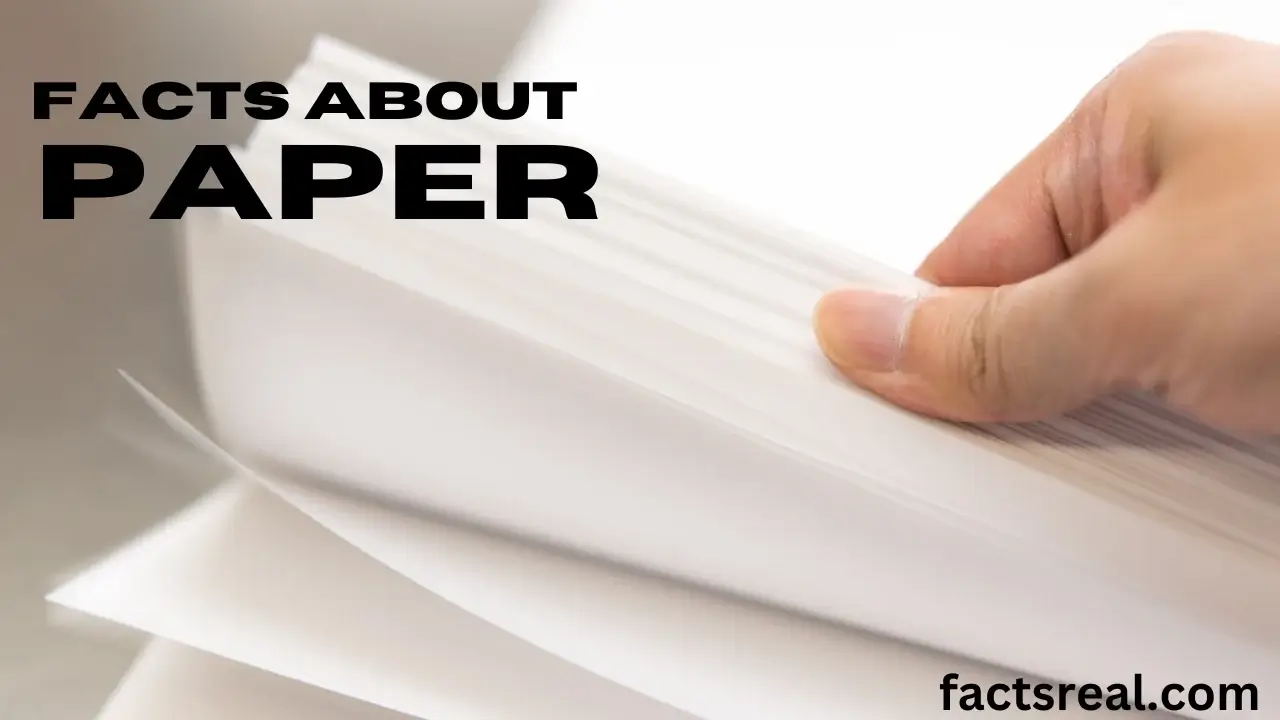 Facts About Paper