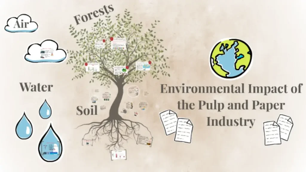 Environmental Impact of Paper