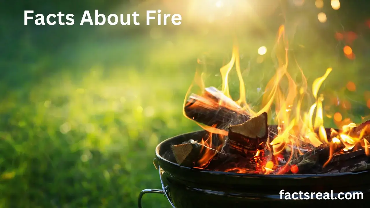 Interesting Facts About Fire