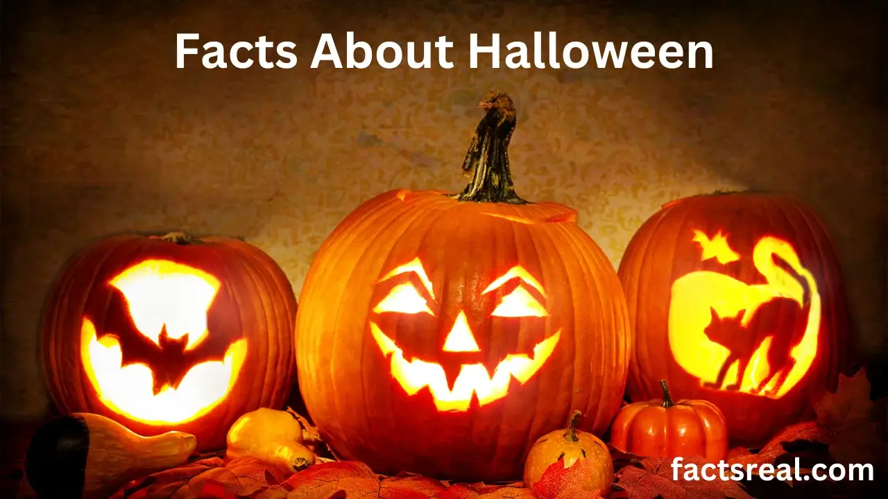 Interesting Facts About Halloween