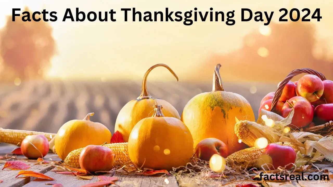 Facts About Thanksgiving Day 2024