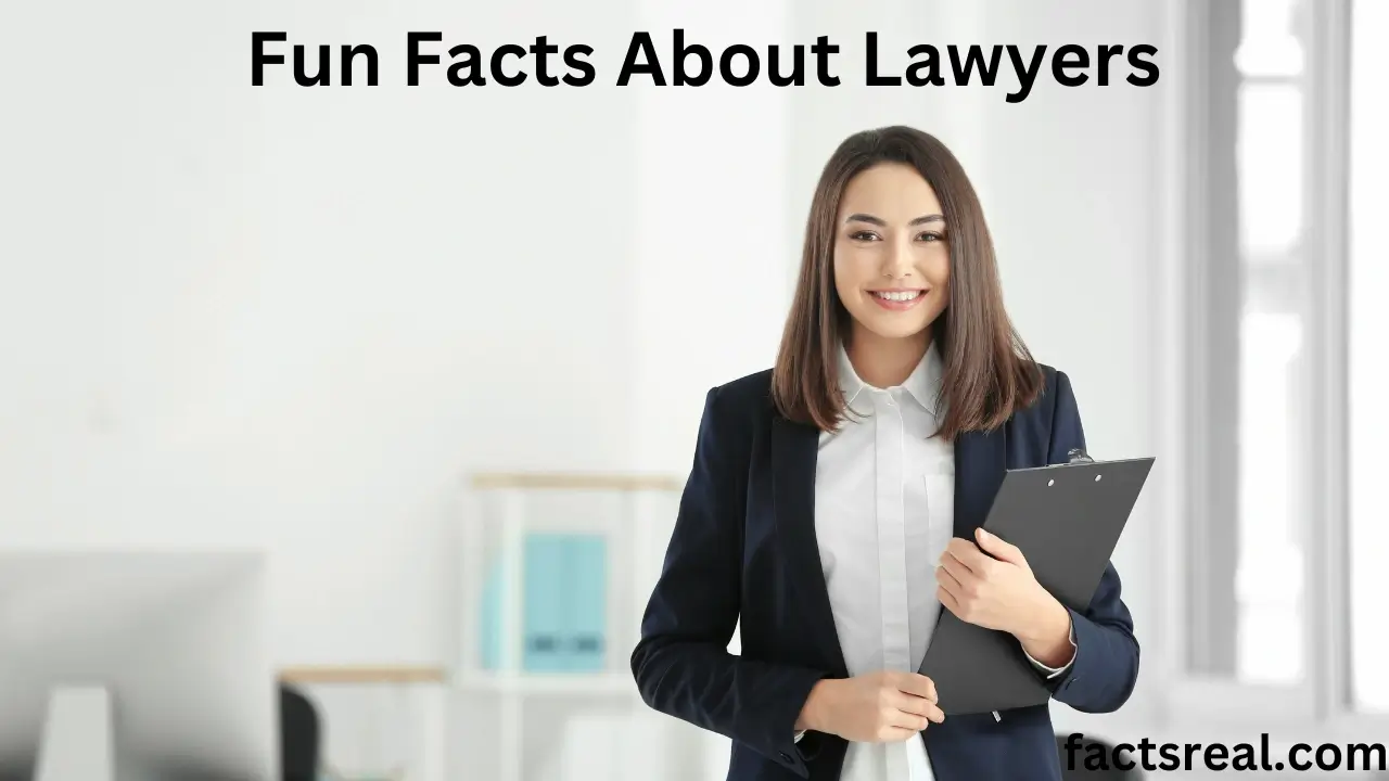 Fun Facts About Lawyers