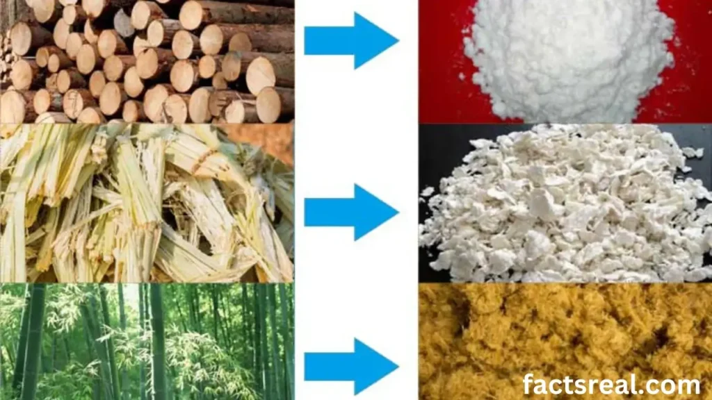 Materials Used in Paper Production