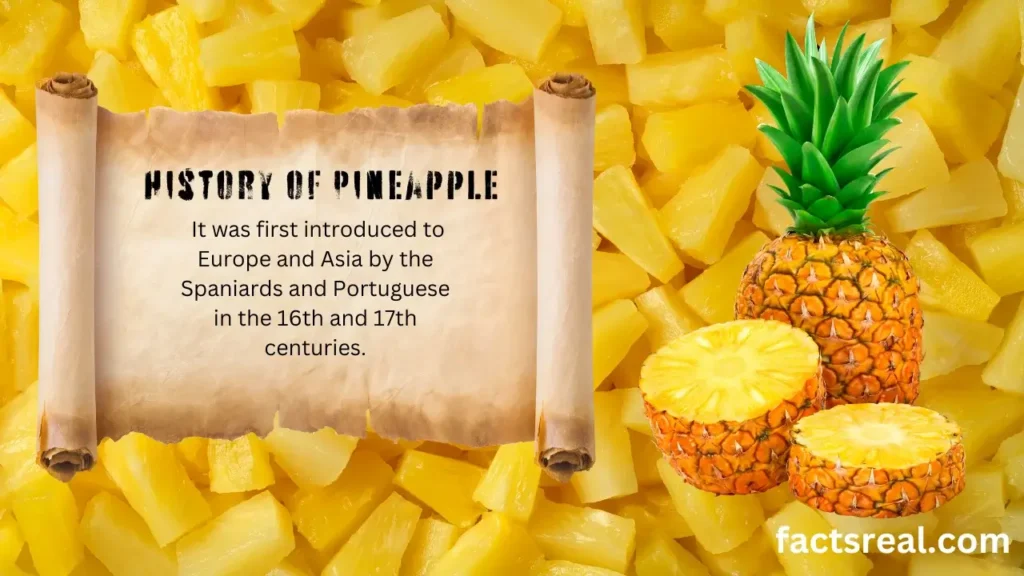 The Origins and History of Pineapple