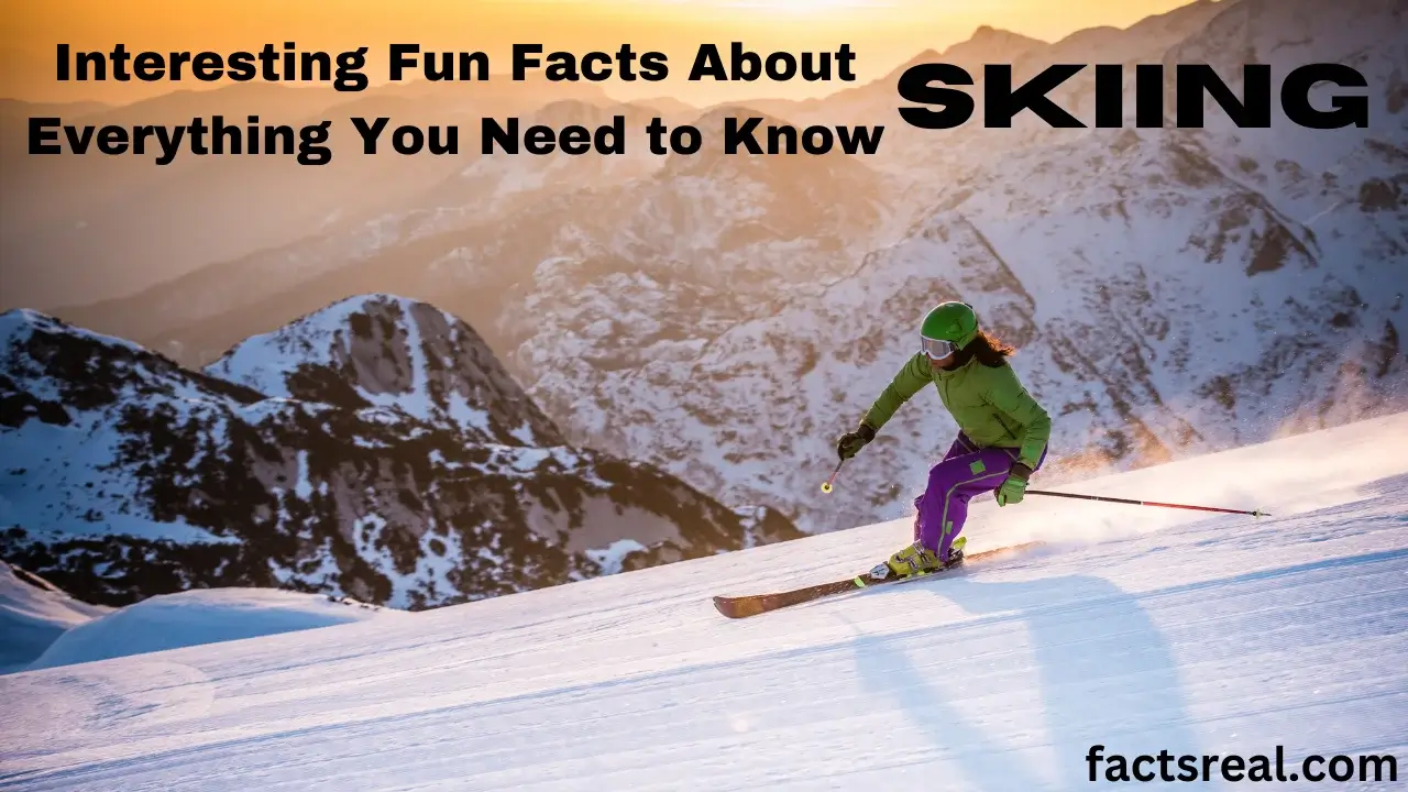 Interesting Fun Facts About Skiing