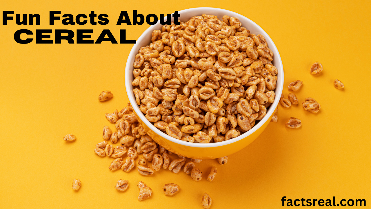 Fun Facts About Cereal