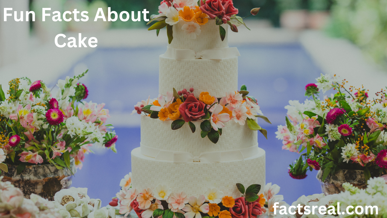 Fascinating Facts About Cake