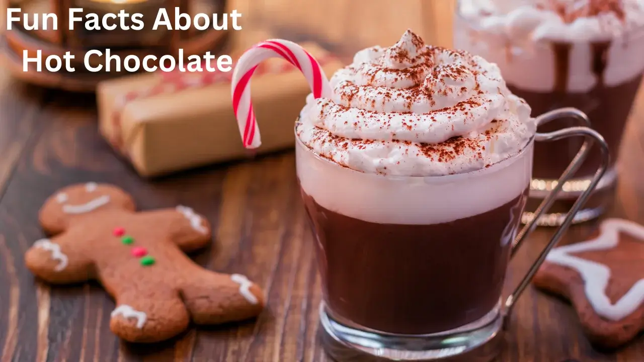 Fun Facts About Hot Chocolate